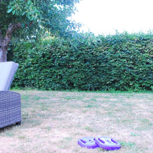 Billig Bodypump vægtskive 10 kg. Lilla - NORDIC POWER, køb her - Maxis.dk