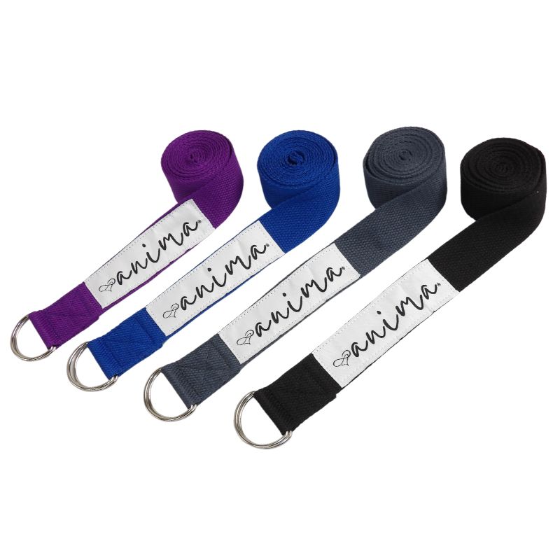 Tilbud På Al Yogaudstyr Fra ANIMA, Yogabælte, Yogamåtter, Yogastropper - Maxis.dk